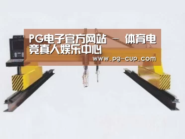 产品名称十八