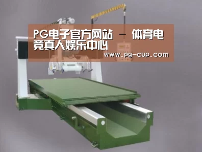 产品名称九