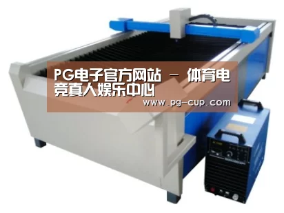 产品名称十七