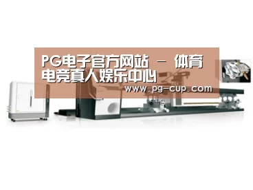 案例展示五