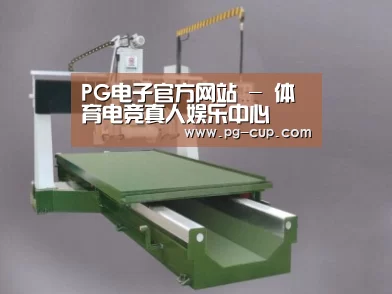 产品名称十