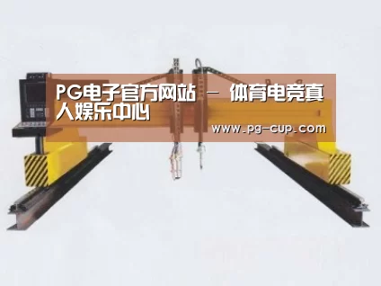 产品名称十九