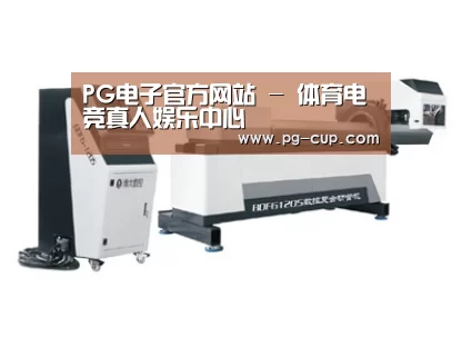 案例展示三