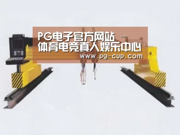 产品名称十七