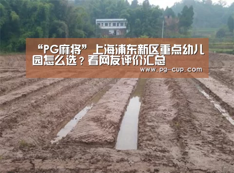 “PG麻将”上海浦东新区重点幼儿园怎么选?看网友评价汇总(图2) PG麻将