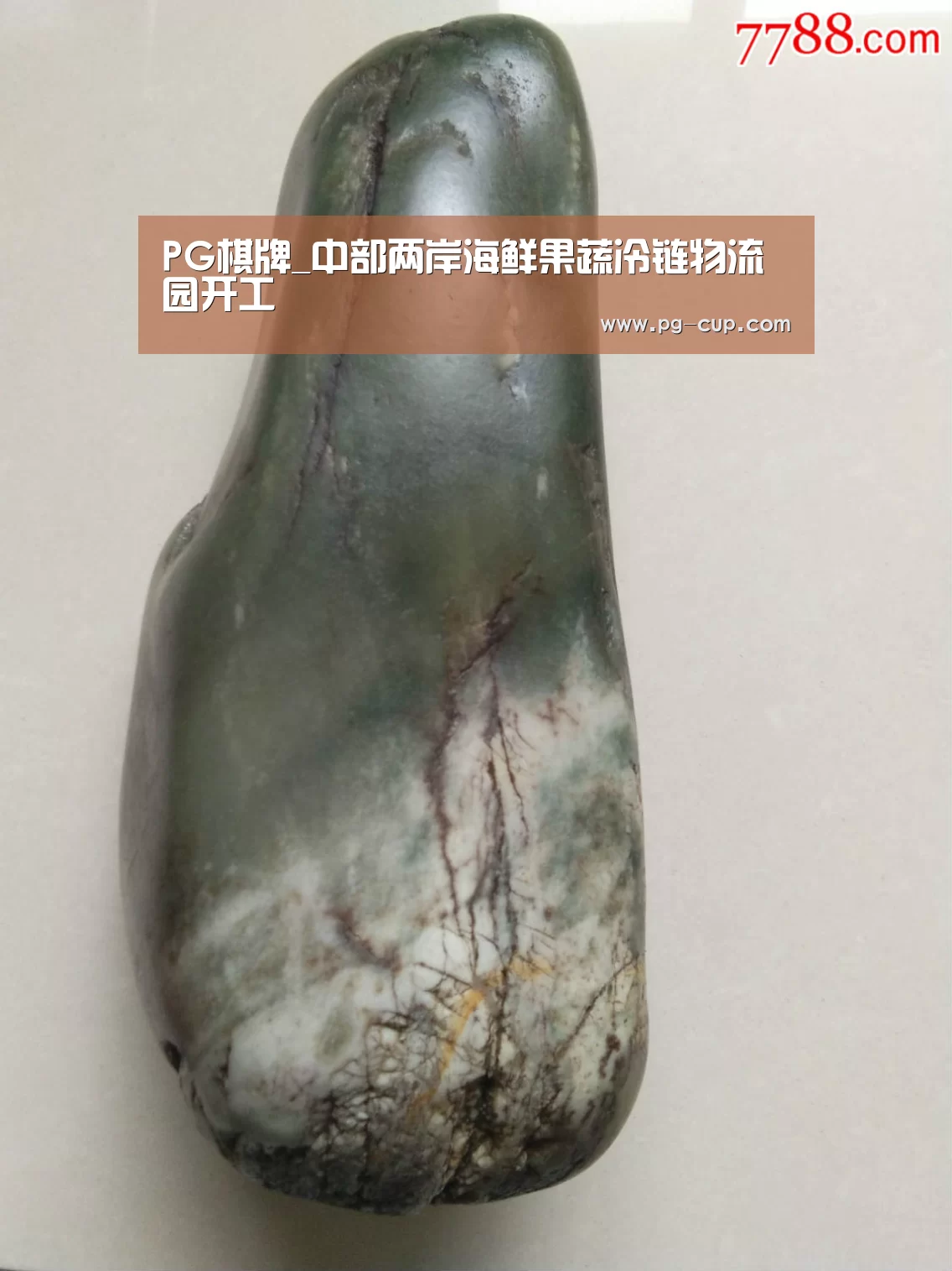 PG棋牌_中部两岸海鲜果蔬冷链物流园开工(图2) PG麻将