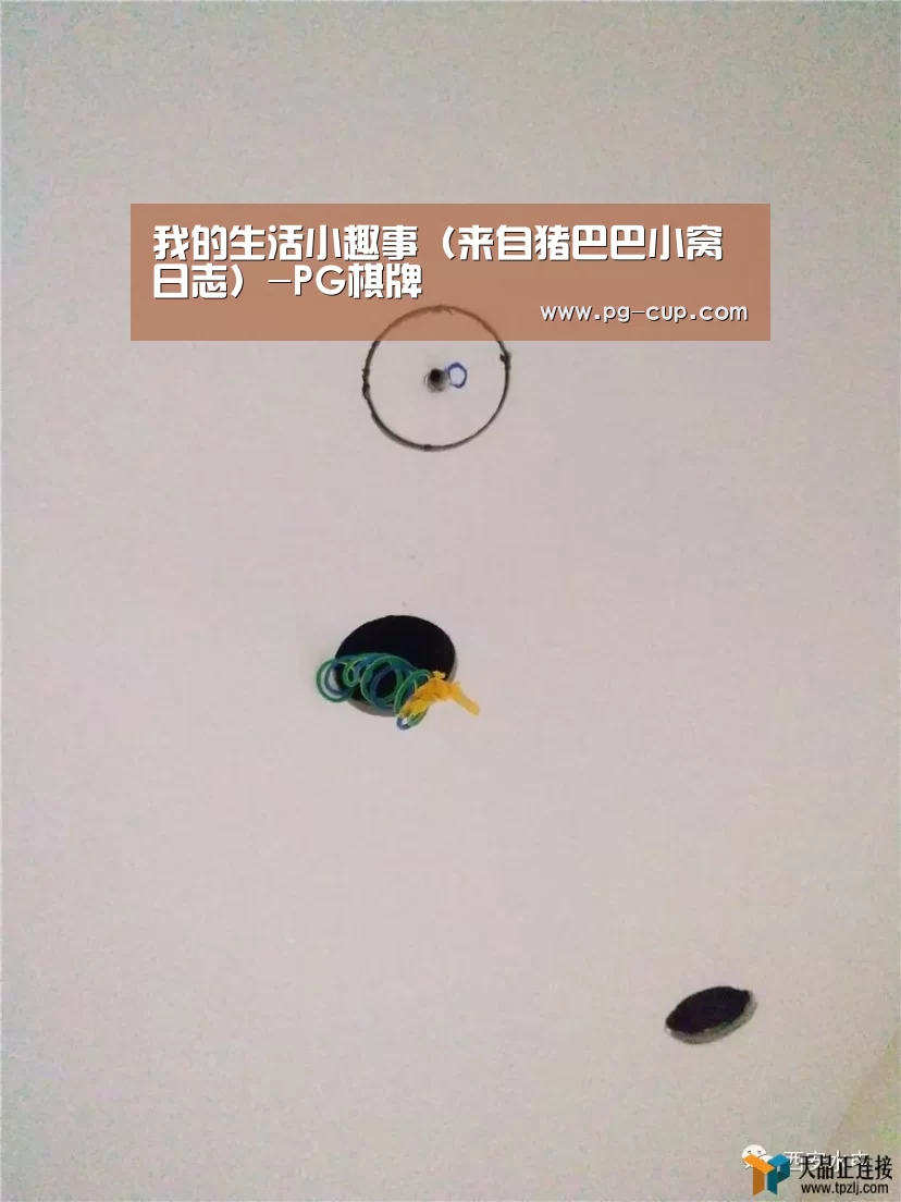 PG虎机
