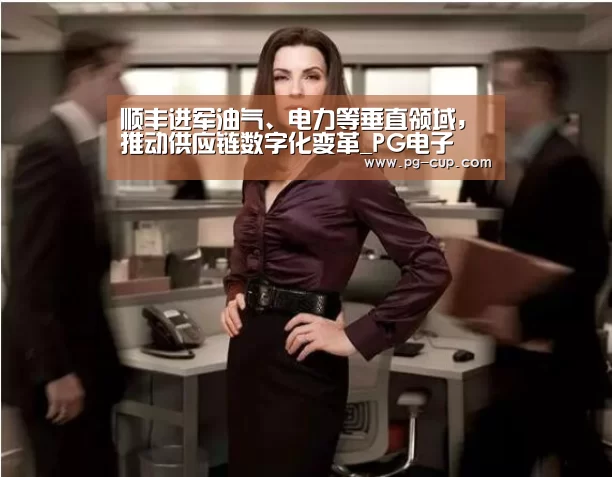 顺丰进军油气、电力等垂直领域,推动供应链数字化变革_PG电子(图2) PG麻将