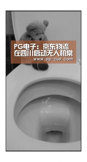 PG电子:京东物流在四川启动无人机常态化配送(图4) PG虎机