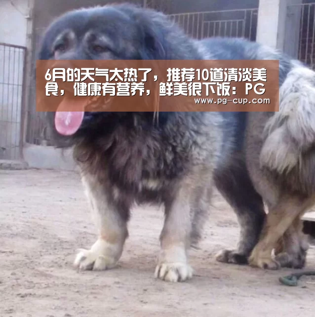 PG电子